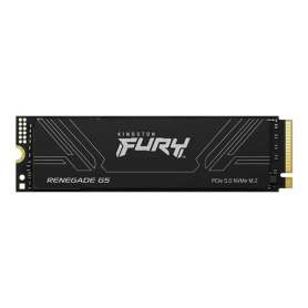 Kingston Fury Renegade G5 SSD 2TB PCIe5.0 14200M-s