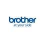 Brother Papel 12 Rollos 50x30mm