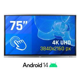iggual Pantalla interactiva 4K ORCHID 75"