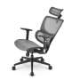 Silla oficina sharkoon officepal c30m negra