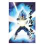 Poster 3d 58x38cm universe survival vegeta