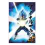 Poster 3d 58x38cm universe survival vegeta