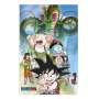 Poster 3d 38x58cm shenron and heroes