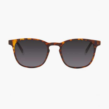 Gafas sol barner dalston azul tortoise