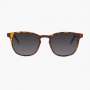 Gafas sol barner dalston azul tortoise