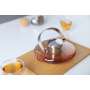 Tetera vidrio viva scandinavia infusion leaf