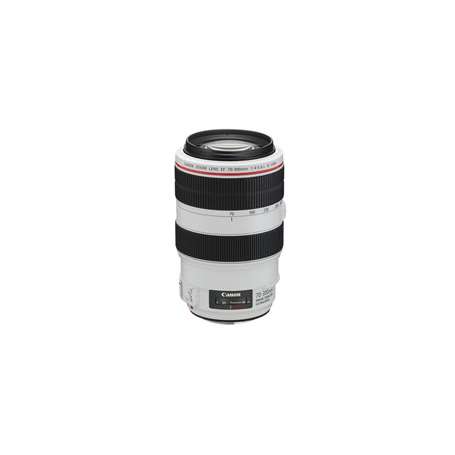 Objetivo canon ef 70 - 300mm f 4 - 5.6