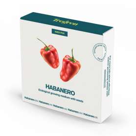 Semillas habanero tregren con pod cultivo