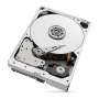 Seagate SkyHawk AI ST10000VE001 10TB 3.5" SATA3